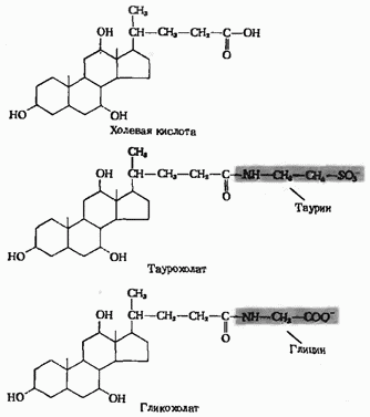 Синтез таурина