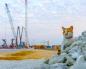 El gato Mostik se prepara para cruzar el puente hacia Crimea