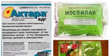 Mospilan böcek ilacı - kullanım talimatları Mospilan thrips için kullanım talimatları