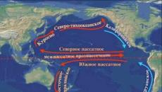 Географско положение на Тихия океан: описание и характеристики