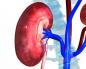 Nefrosclerosi dei reni: cause e metodi di trattamento