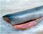Ružičasti losos kuhan na pari u laganom šporetu Recepti za roze losos na pari u laganom šporetu