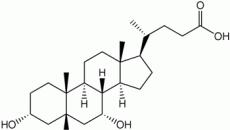Жлъчни киселини: прости и сдвоени Къде и от какво се образуват жлъчни киселини