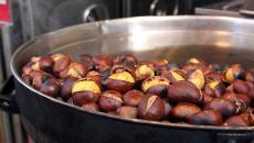 Как да готвя кестени: кулинарни трикове и най-добрите рецепти Как правилно да печете кестени във фурната