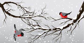 Лексикална тема „Зимуващи птици“