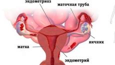 Pillola anticoncezionale come cura per molte malattie Meccanismi d'azione dei contraccettivi orali
