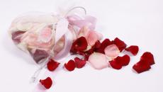 Rose rosse: perché sogni fiori belli e appassiti? Perché sogni petali di rosa sparsi
