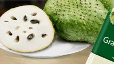Fruta de guanábana (graviola): lugar de crecimiento y propiedades beneficiosas Propiedades beneficiosas de la guanábana o del fruto del árbol de graviola