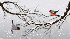 Sözcüksel konu “Kışlayan kuşlar”