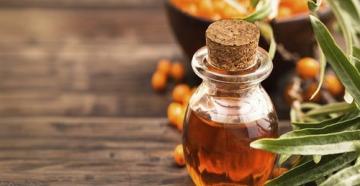 Olio di olivello spinoso: proprietà curative e metodi di preparazione a casa