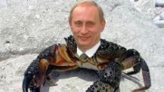 Почему Путин - краб, Медведев - шмель, а Ленин - гриб?